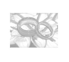 Wedding Planning Essentially You Bumble Cottage, 16 Bath Road, Thatcham, Berkshire