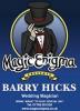 Magic Enigma 7 Gull Walk, Hornchurch, Essex Wedding Magicians : East of England
