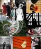 cjslphoto 27 Beverley Rd Wedding Photography : London
