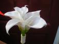 Silk Exuberance WALSALL Florists