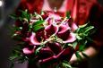 Fuchsia Flower Design Brighton Wedding Flowers : South East