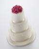 Cleeve Cake Company Oakdale Court, Downend, Bristol Wedding Cakes : South West