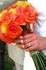 Manhattanphoto 47 Rheola Gardens, Thornbury, Plymouth Wedding Photography : South West