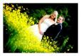 Barrie Harwood Photography 33 Little Roodee, Hawarden Wedding Photography : North West