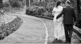 Alan Barnes Photography 18 Buttermere Gardens, Purley, Surrey Wedding Photography : South East