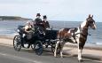Country Carriages Hectors Cottage, Wydale, Bromptron by Sawdon, Scarborough Wedding Transport : Yorkshire & Humberside