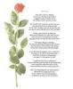 A Gift of Poetry - Perfect for Wedding Vows, Wedding Day Gifts, Toasts and Speeches Covers UK & Worldwide Wedding Poetry