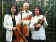 Highfield Entertainment 7 Foundry Close, Cottenham, Cambridge Wedding Entertainment