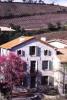 Domaine Grand Guilhem 1 Chemin du Col de la Serre - CASCASTEL FRANCE Wedding Honeymoon
