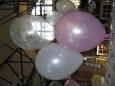 Balloonatics.biz 3 Rylands, Capel St Mary, Ipswich, Suffolk Wedding Decorations : East of England