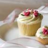 Fancie Cupcakes Sheffield Cakes